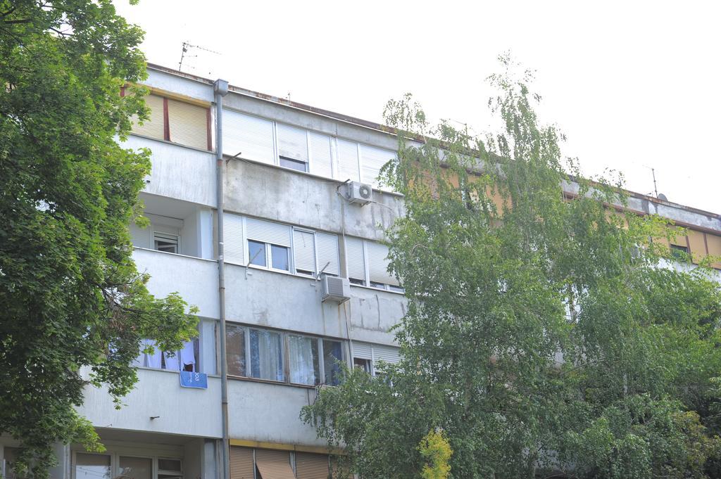 Apartment Daca Stan Belgrad Exteriör bild