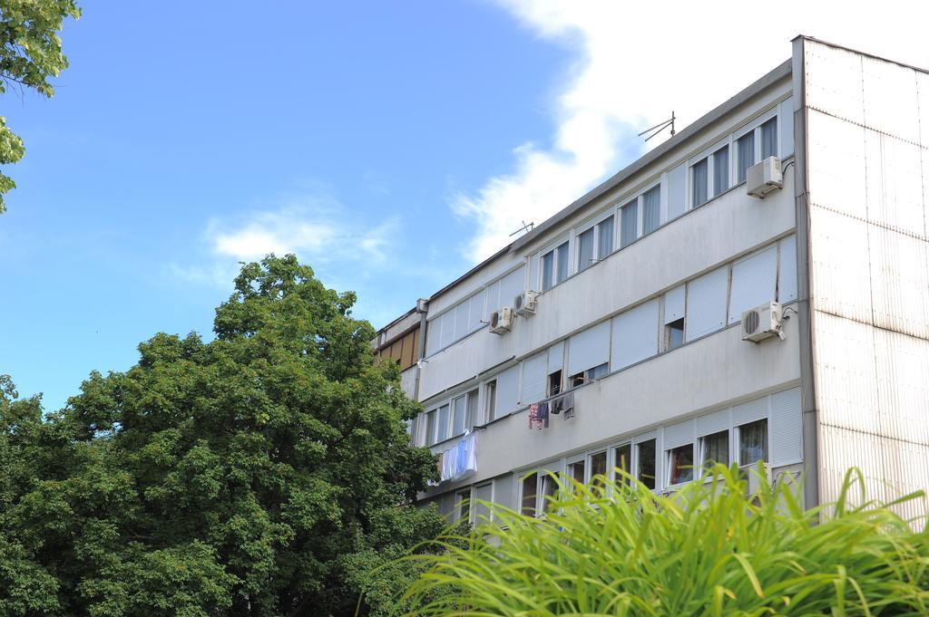 Apartment Daca Stan Belgrad Exteriör bild