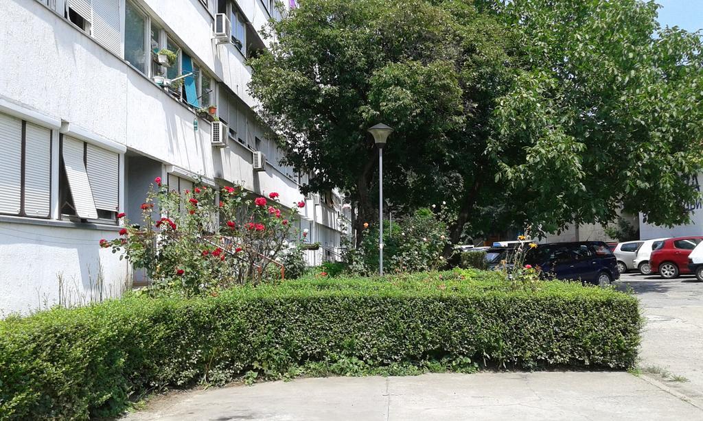 Apartment Daca Stan Belgrad Exteriör bild