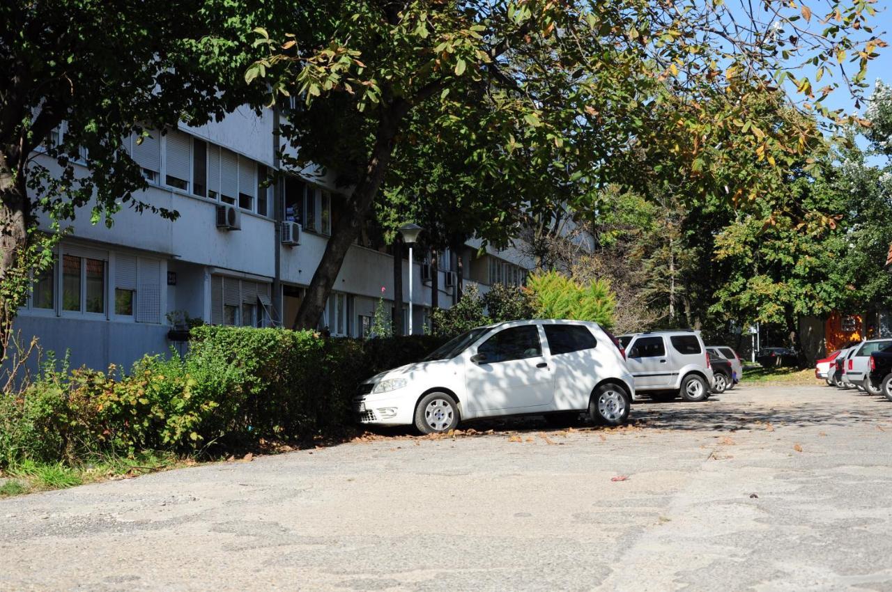 Apartment Daca Stan Belgrad Rum bild