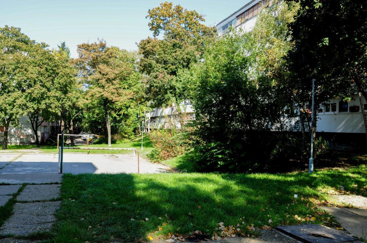Apartment Daca Stan Belgrad Rum bild