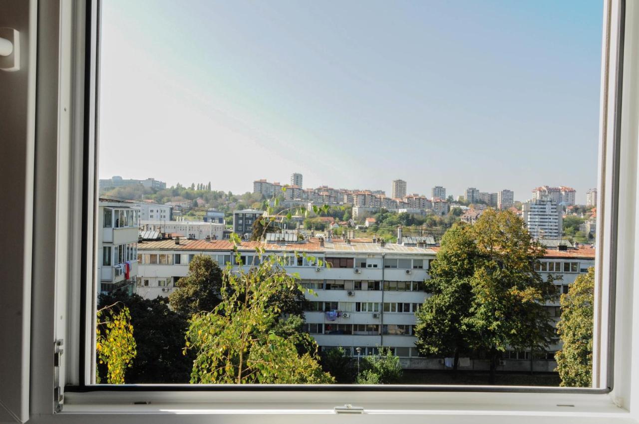 Apartment Daca Stan Belgrad Rum bild
